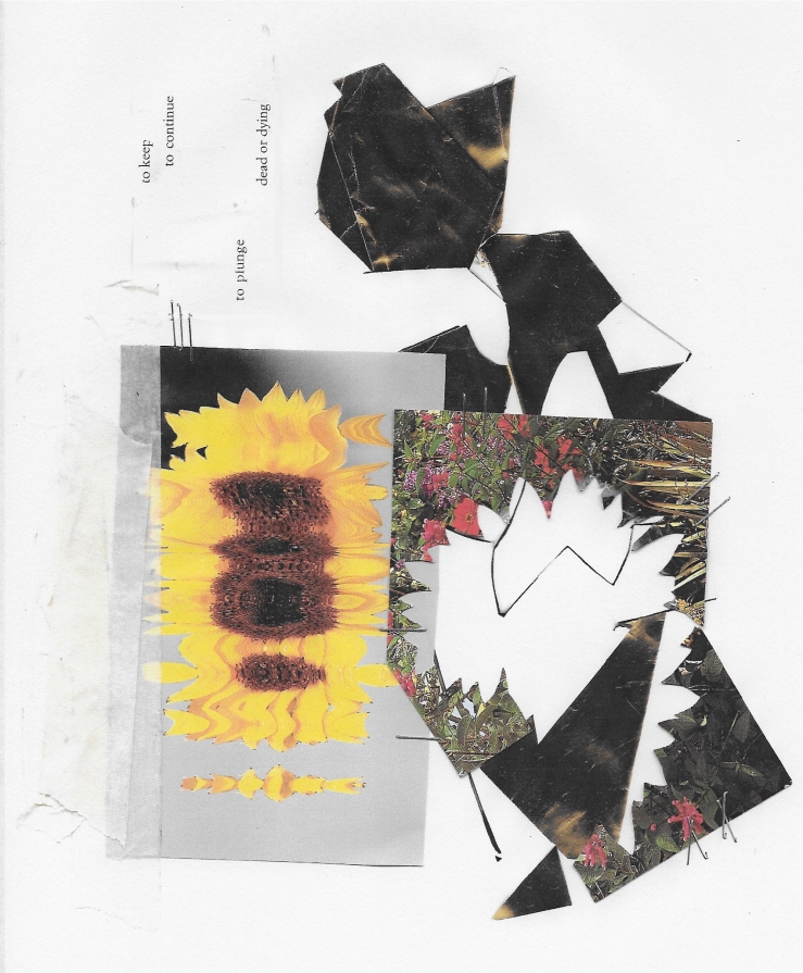 sunflower-corpse
